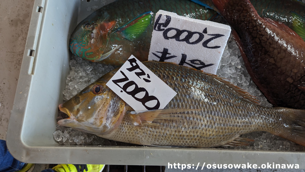 泊いゆまち沖縄の魚「タマン（ハマフエフキ）」