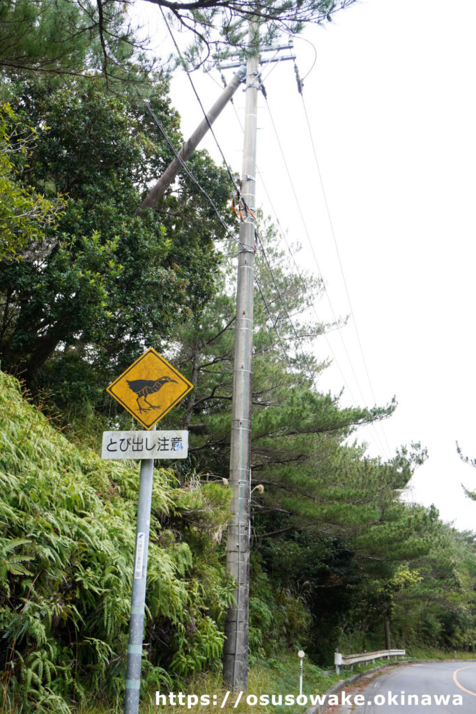 沖縄国道58号線はヤンバルクイナ飛び出し注意の標識