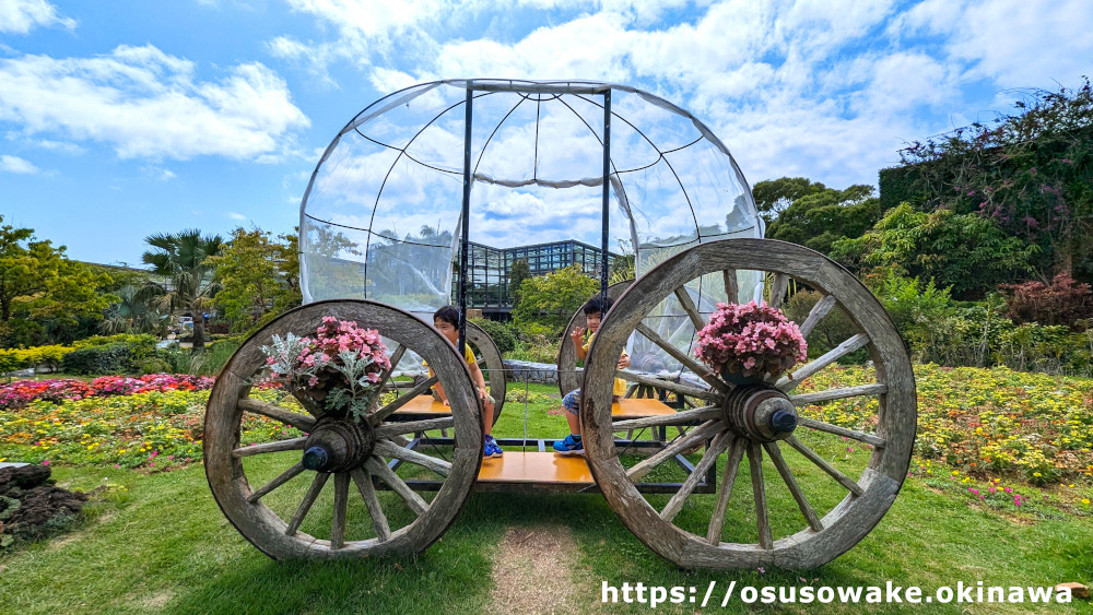 沖縄海洋博公園熱帯ドリームセンターのインスタ映えスポット「馬車」