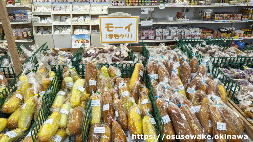 沖縄の野菜「モーイ」（赤毛ウリ）