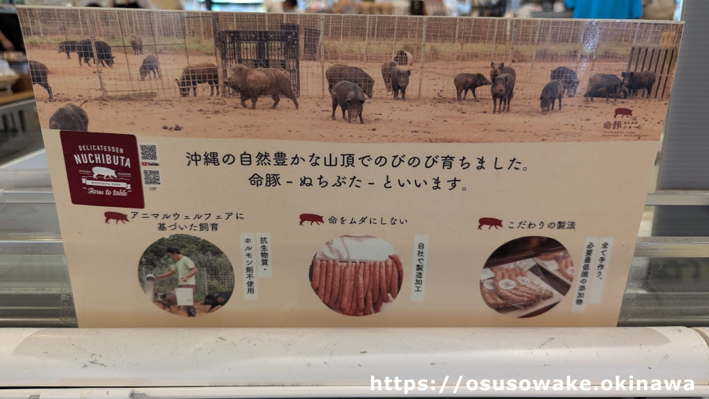 道の駅おおぎみやんばるの森ビジターセンター「がじゅまる館」沖縄のブランド豚「命豚（ぬちぶた）」