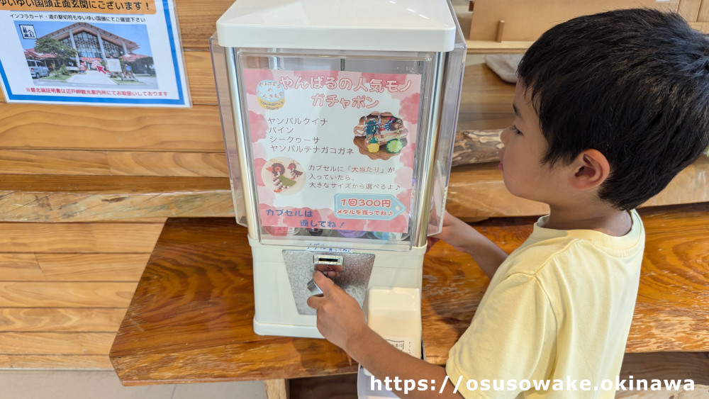 国頭観光物産センター道の駅ゆいゆい国頭の観光案内所