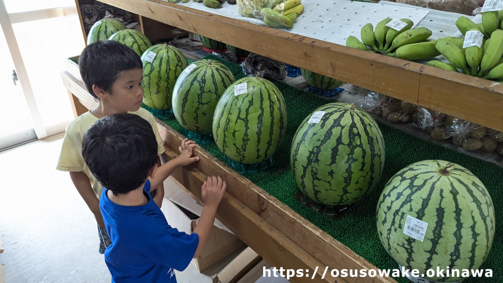 国頭観光物産センター道の駅ゆいゆい国頭の野菜果物の直売所沖縄県産スイカ