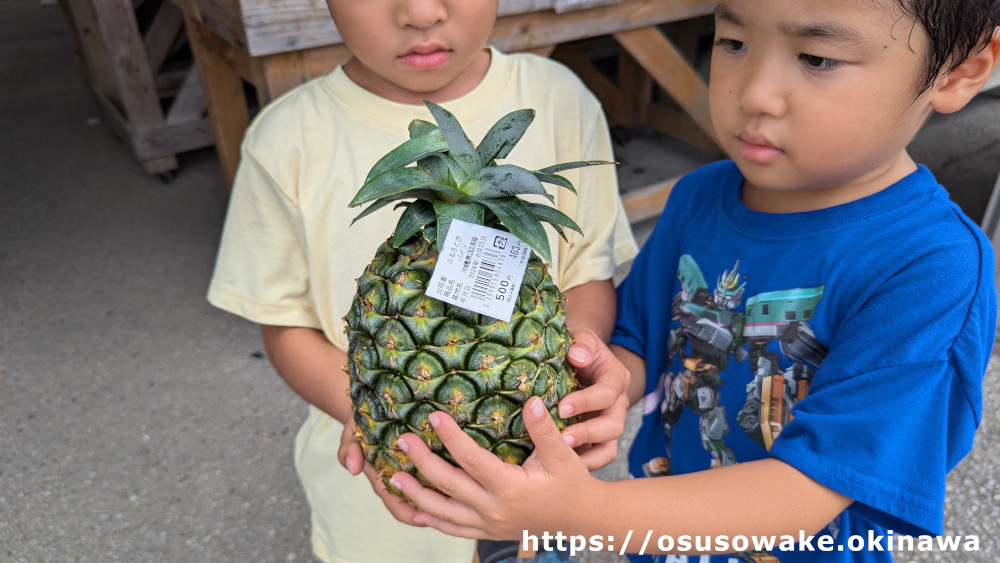 国頭観光物産センター道の駅ゆいゆい国頭の野菜果物の直売所パイナップル