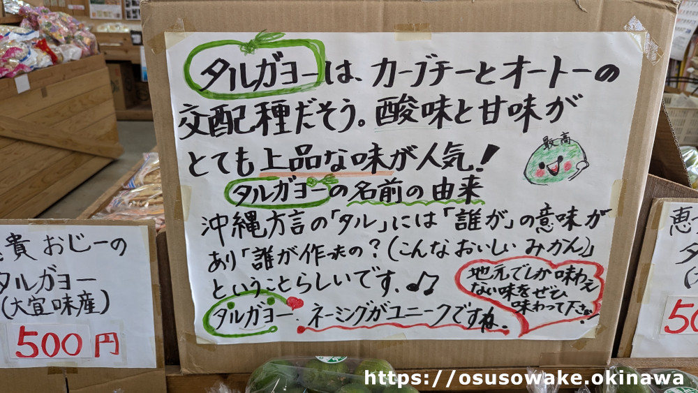 「タルガヨー」とは？名前の由来