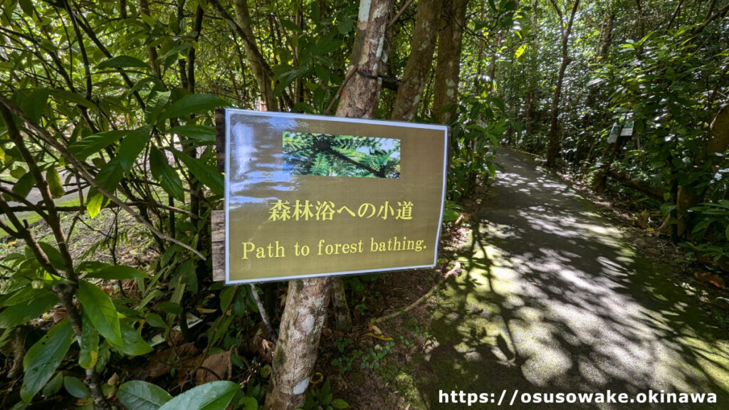 沖縄県名護市轟の滝公園森林浴の小道