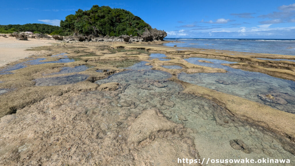 古宇利島トケイ浜隣りの天然ビーチの潮溜りには熱帯魚とサンゴがいっぱい