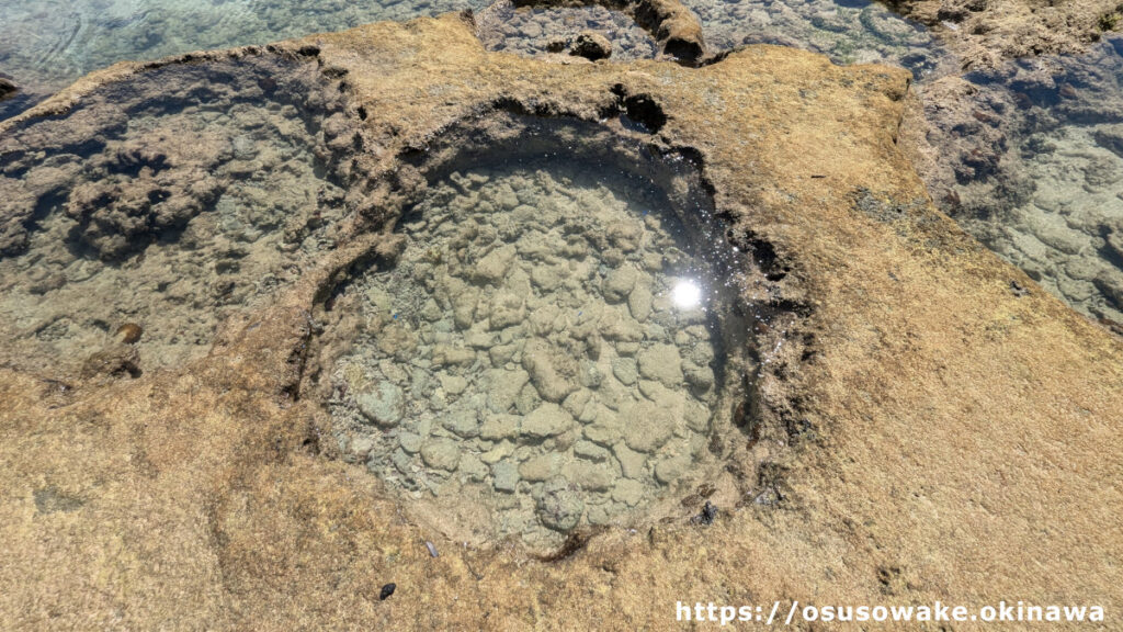 古宇利島トケイ浜隣りの天然ビーチの潮溜りには熱帯魚とサンゴがいっぱい