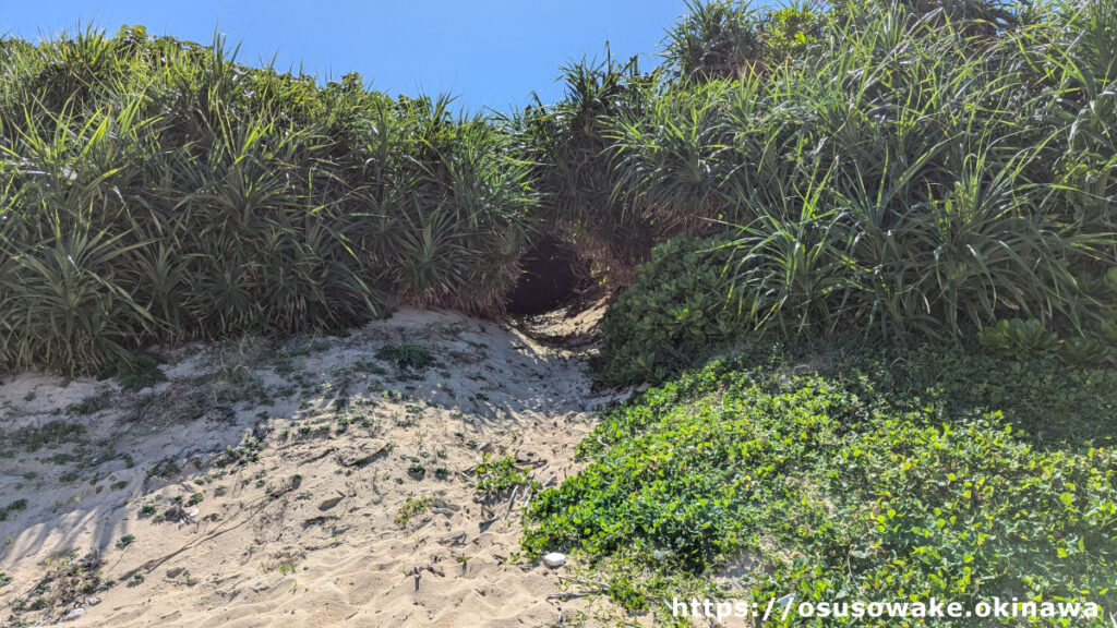 沖縄県今帰仁村古宇利島のトケイ浜の隣の天然ビーチ