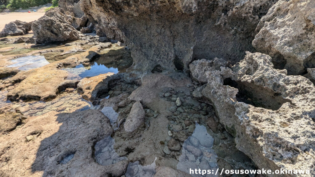 沖縄県今帰仁村古宇利島のトケイ浜の潮溜まり